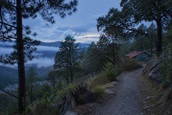 3-Hour Park Trek, Sierra Norte