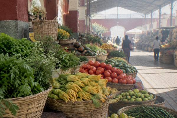 Vegetarian Class, Market Visit, Oaxaca City