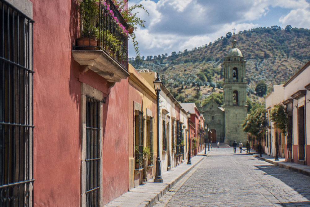 Agave plants growing on a hillside in the valleys east of Oaxaca City