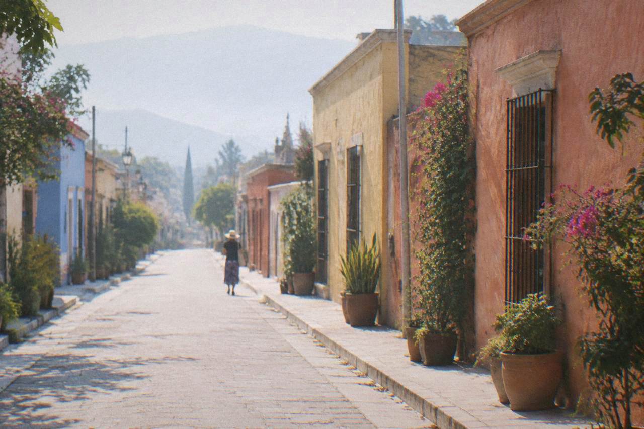 A quiet paved street in an Oaxaca City neighbourhood with colored walls and potted plants