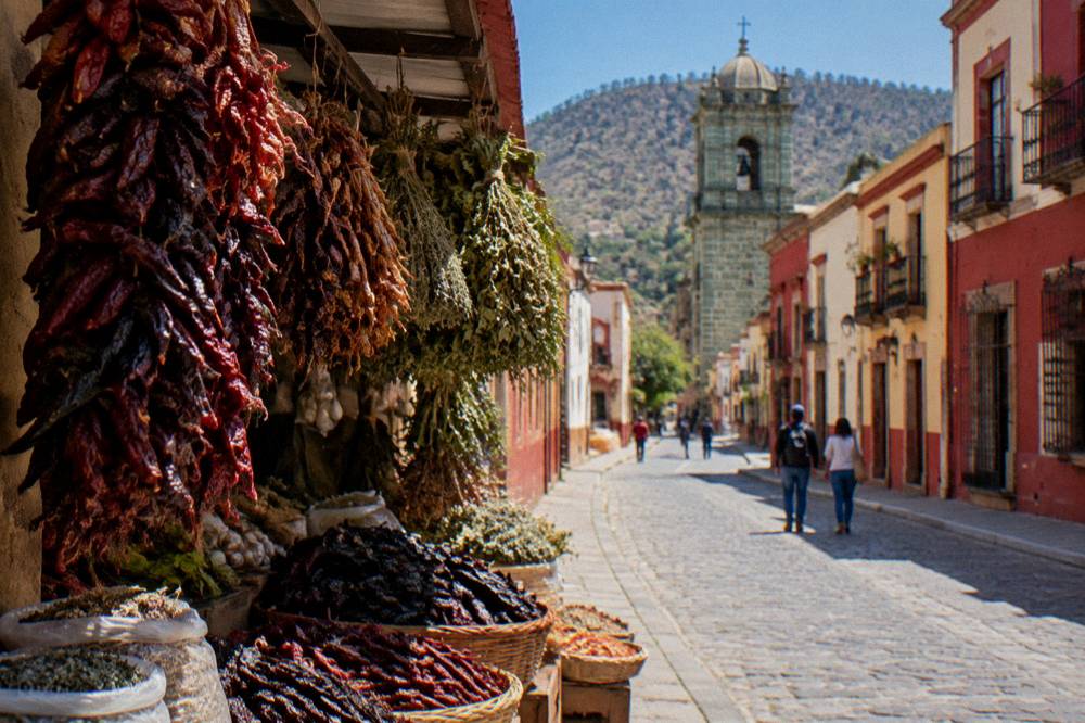 Bundles of dried chillies and herbs stacked at a spice stall inside a Oaxaca market