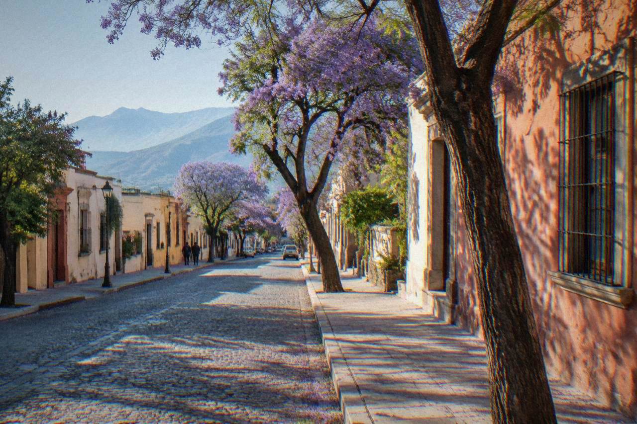 A calm residential street in Oaxaca City with low buildings and mountains in the distance