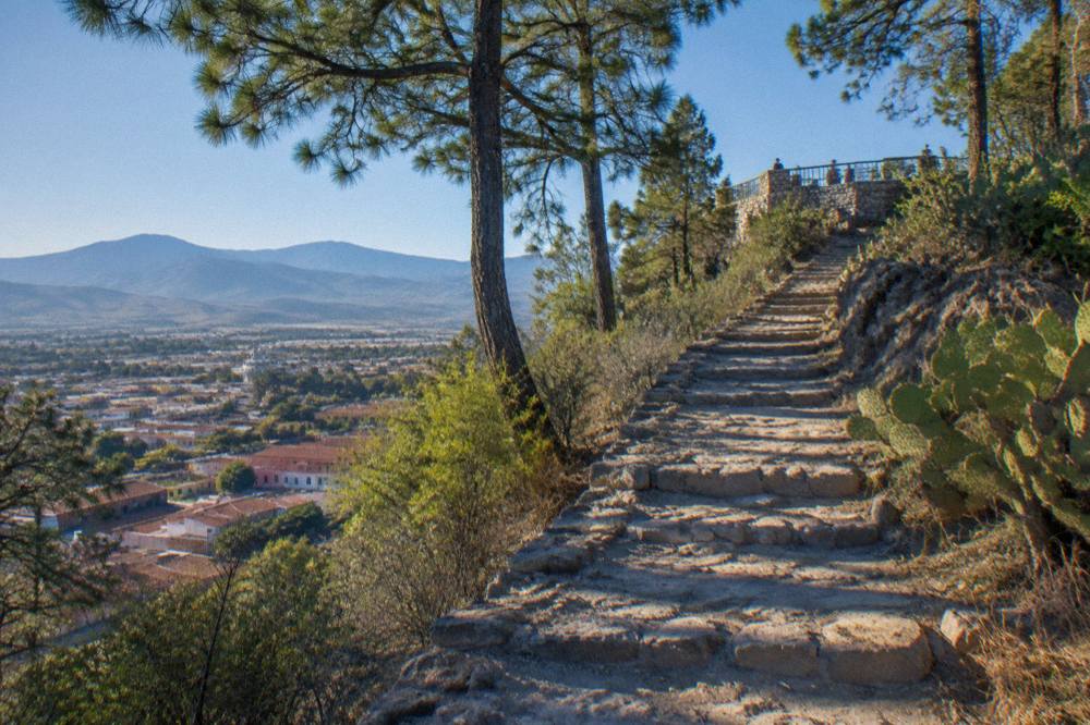 A stone path winding uphill through trees and cactus plants toward an open hilltop in Oaxaca