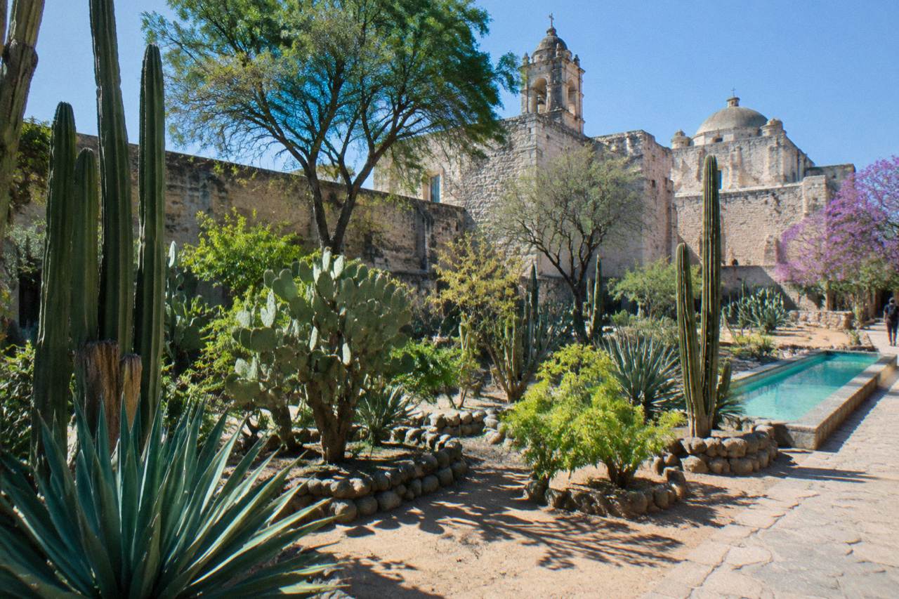 A walled garden with cactus and tree plantings beside an old stone convent building in Oaxaca City