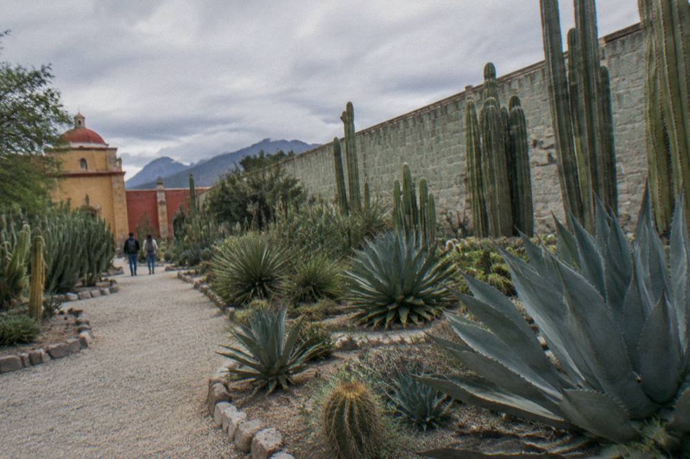 Jardín Etnobotánico, Oaxaca, ordinary daylight