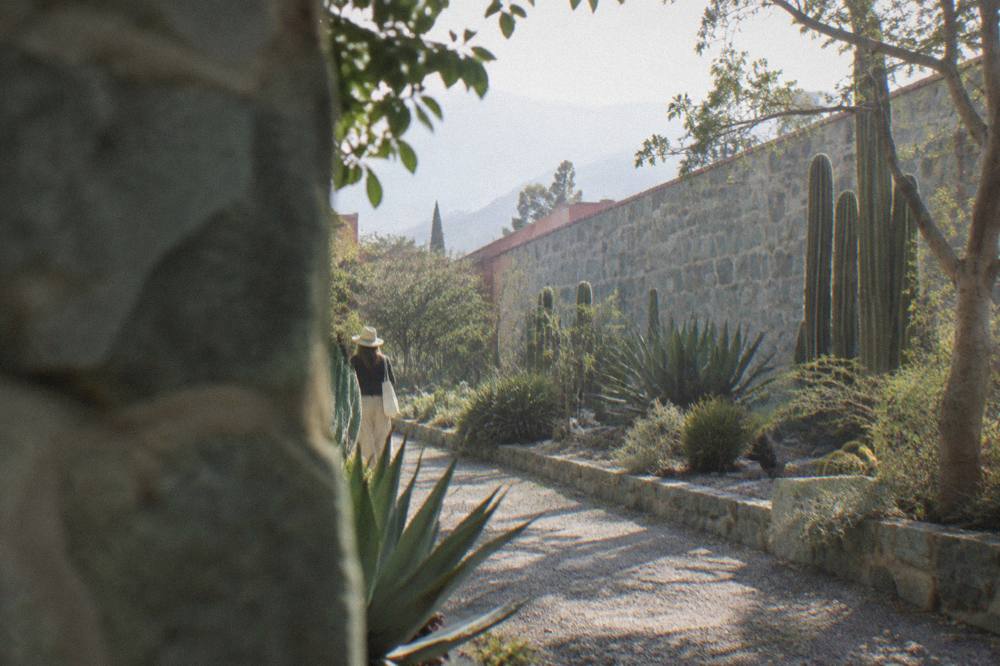 A quiet garden path with stone walls and green plantings in late afternoon light
