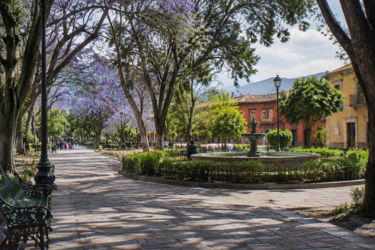 A tree-lined park walkway with benches in a highland Mexican city