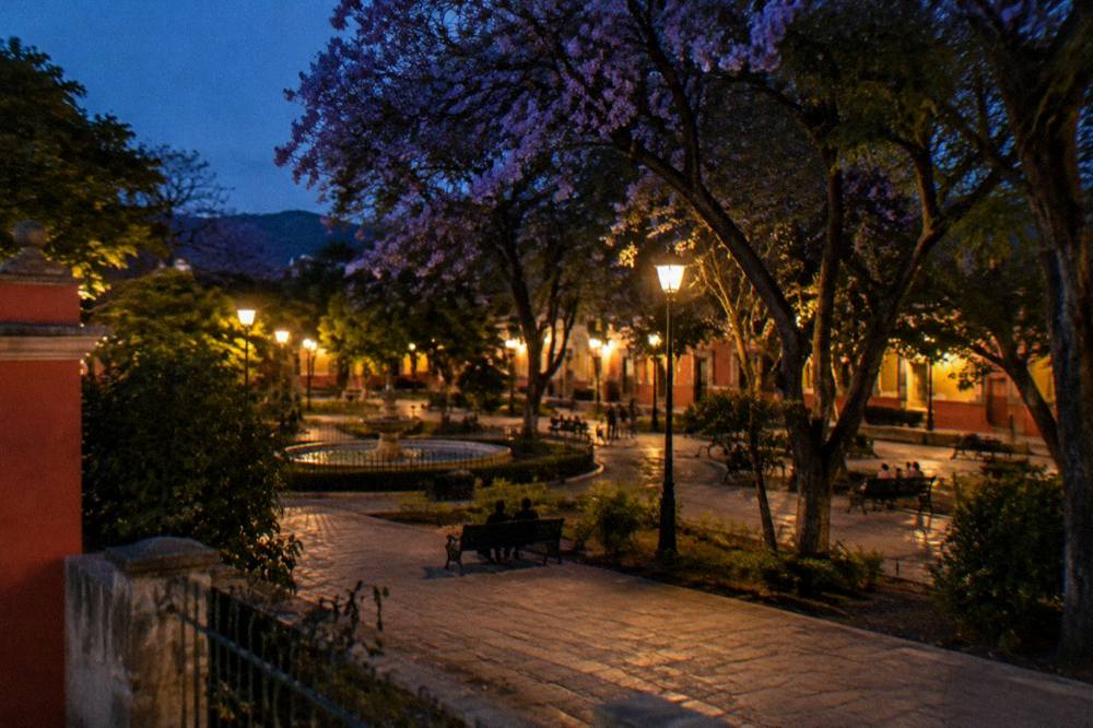 A park promenade at dusk with warm street lamps under large trees