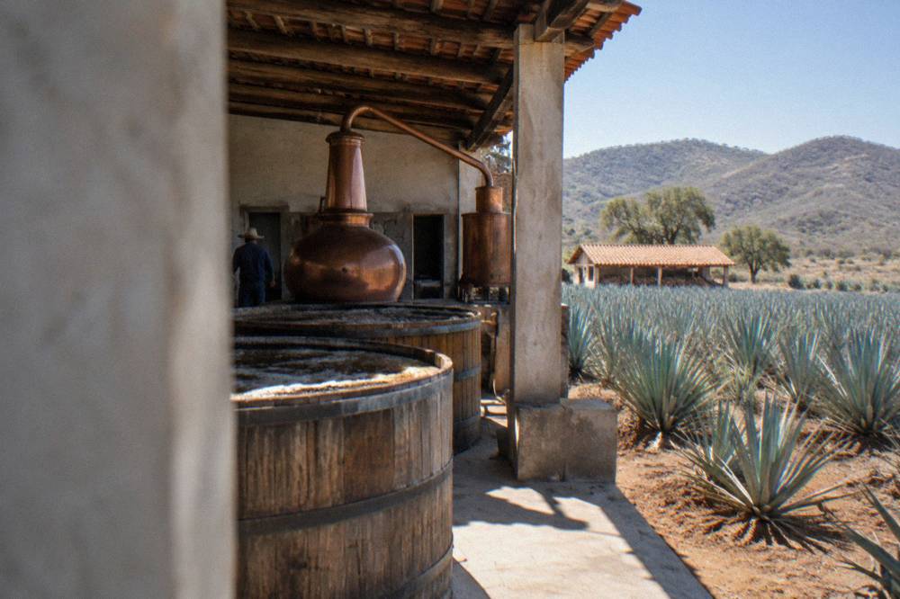 Copper stills and fermentation vats inside a small family distillery building