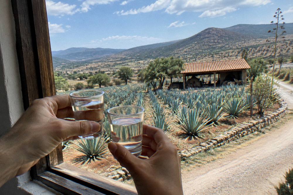 Two glasses of mezcal raised beside an open window overlooking a valley road