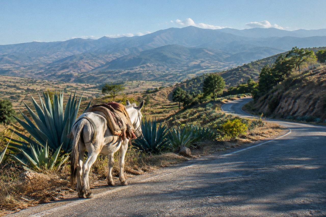 A highland valley road winding through hills toward distant mountains in Oaxaca