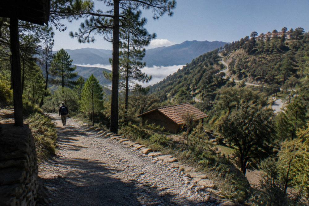 Winding mountain road climbing through forested slopes toward a high village