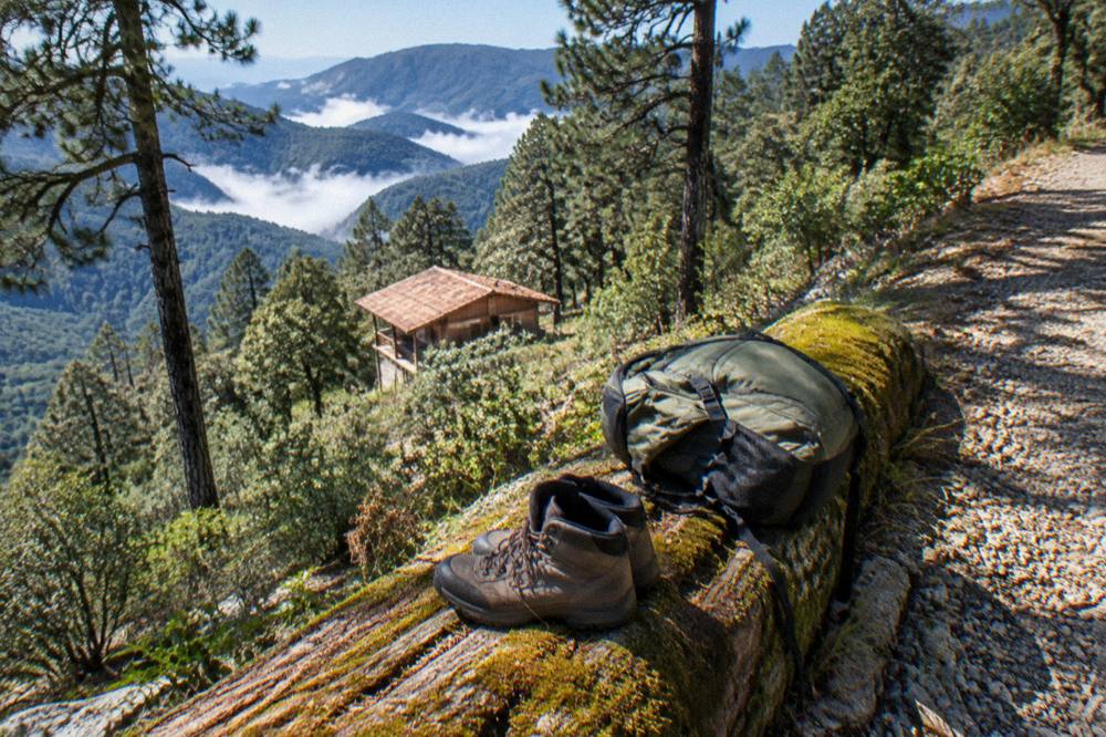 Hiking boots and a daypack resting on a mossy log beside a forest path
