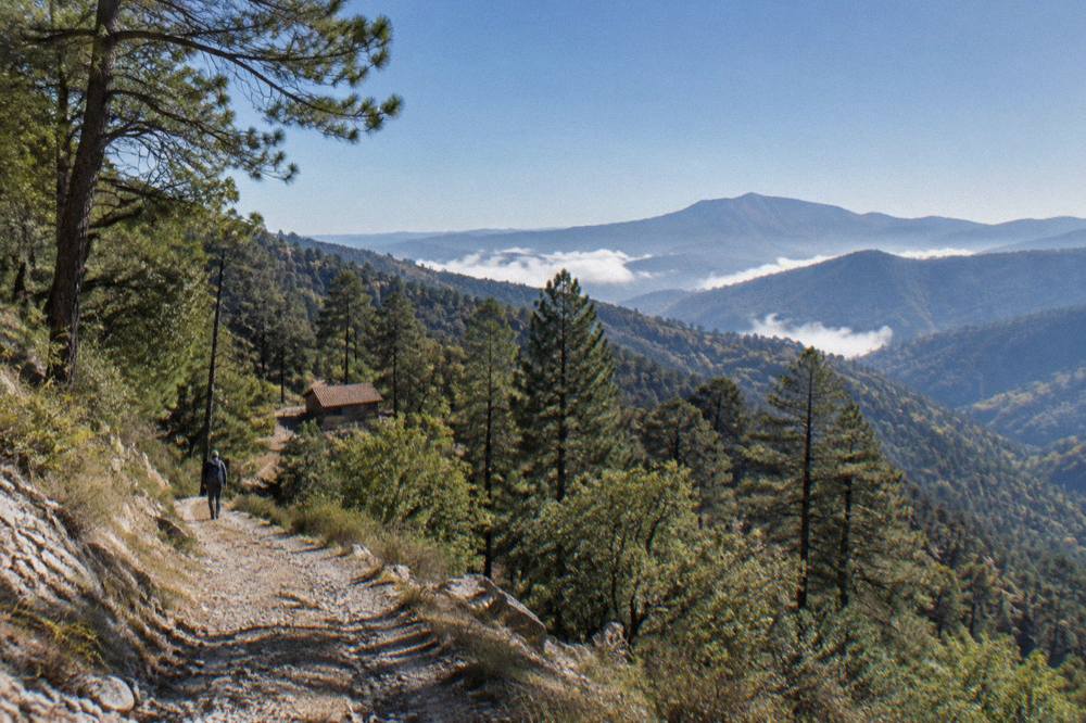 Wide view of a green mountain range receding into haze under a clear sky