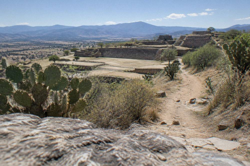 A dry hillside path with cacti leading toward stone ruins in the Tlacolula Valley