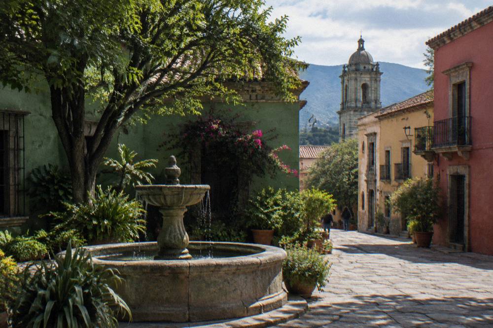 A stone fountain in a plant-filled courtyard with green paint on the walls