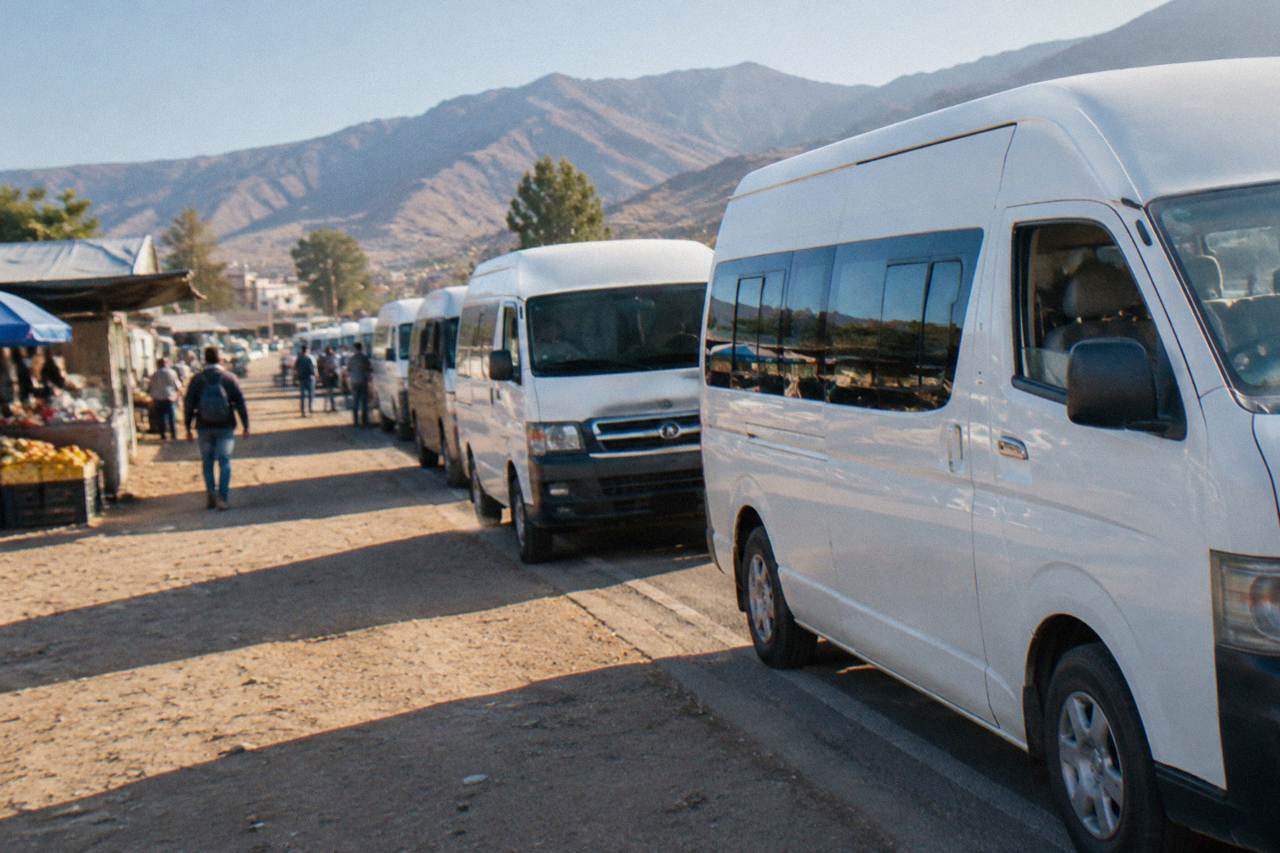 A line of white shared vans parked on a sunny street waiting for passengers