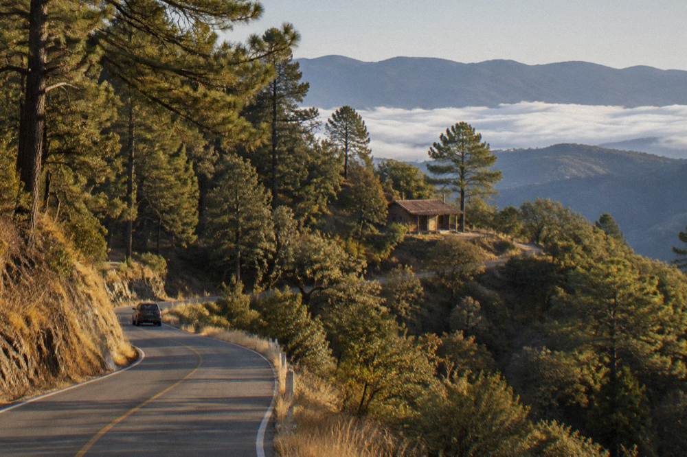 A narrow mountain highway curving through pine forest in the Sierra Norte of Oaxaca