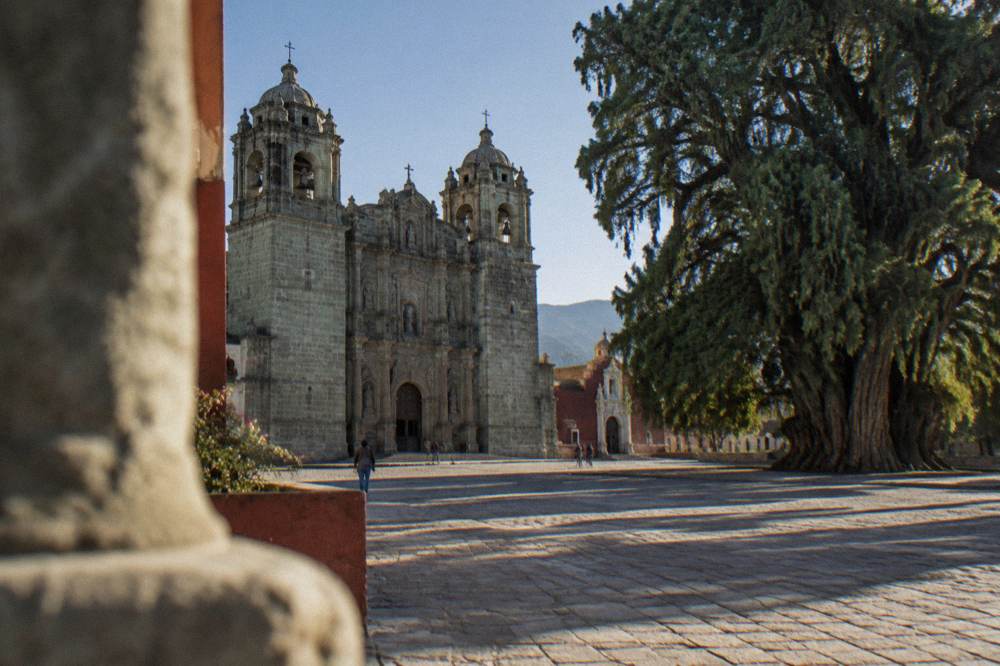 Wide tree of Santa María del Tule standing beside a small church in a town square