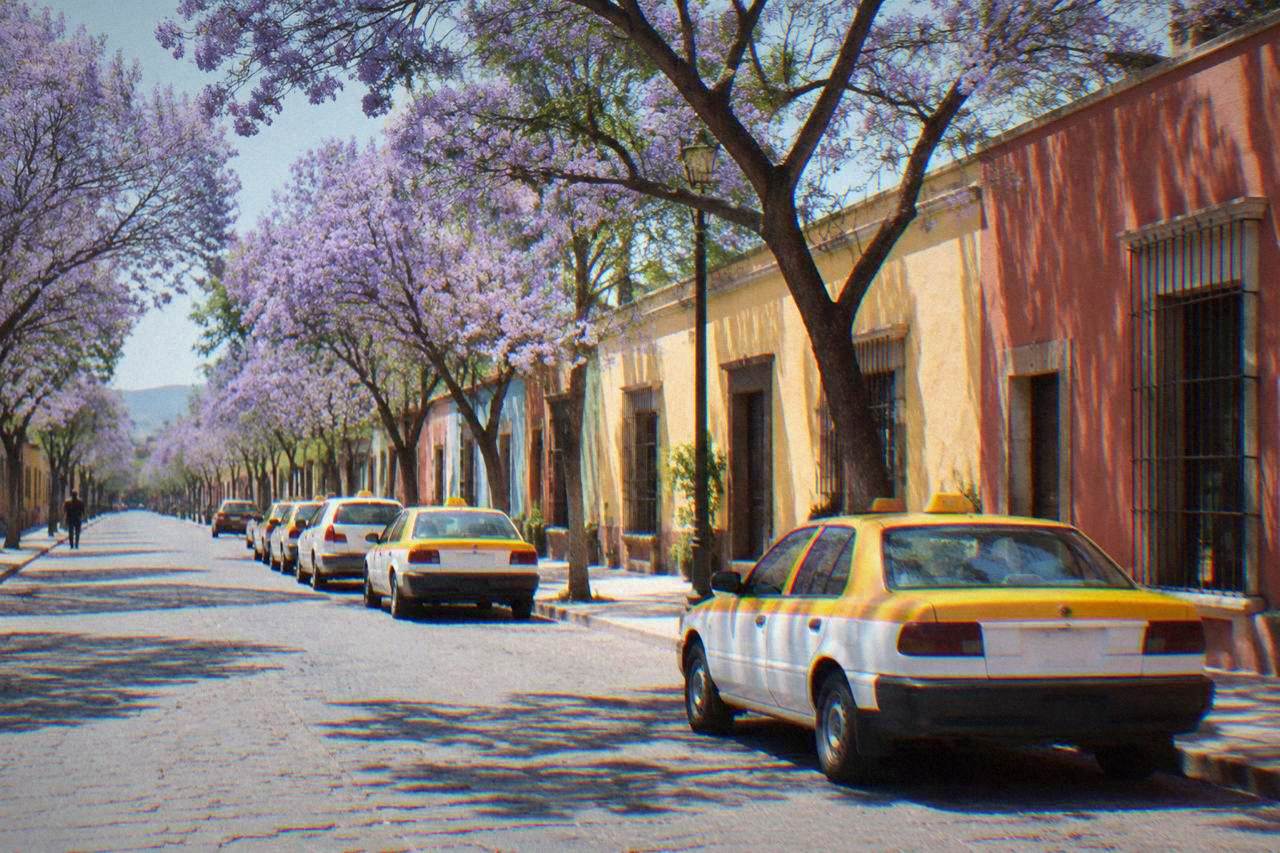 Taxis lined up on a quiet street of coloured buildings in central Oaxaca