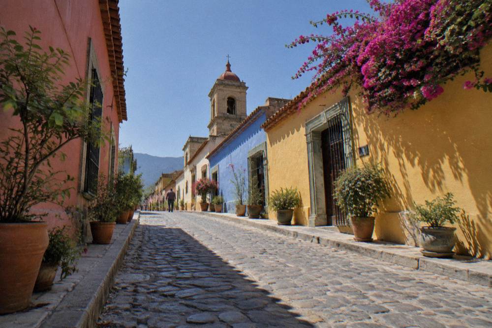 A painted residential street in Jalatlaco with potted plants along the pavement