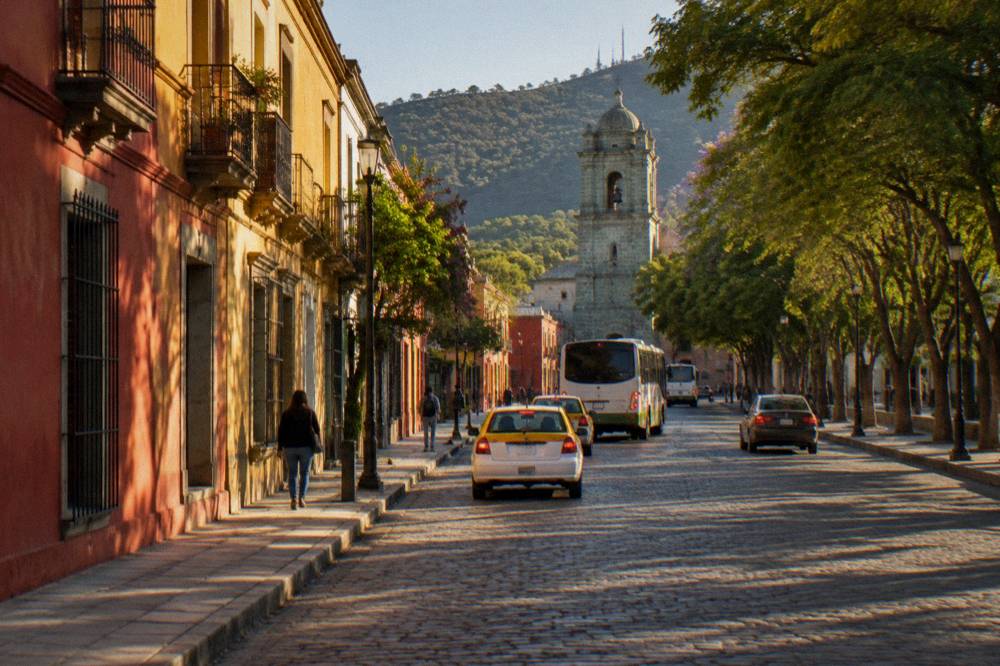 An avenue in Oaxaca with taxis and buses moving under trees in late afternoon