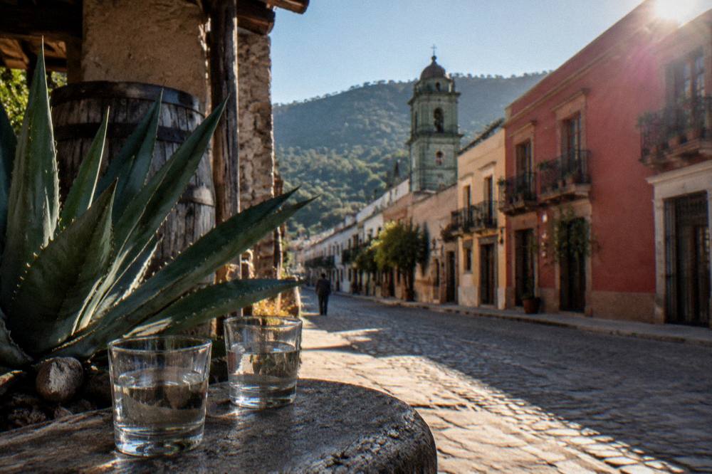 Two glasses of mezcal beside an agave plant at a rustic distillery
