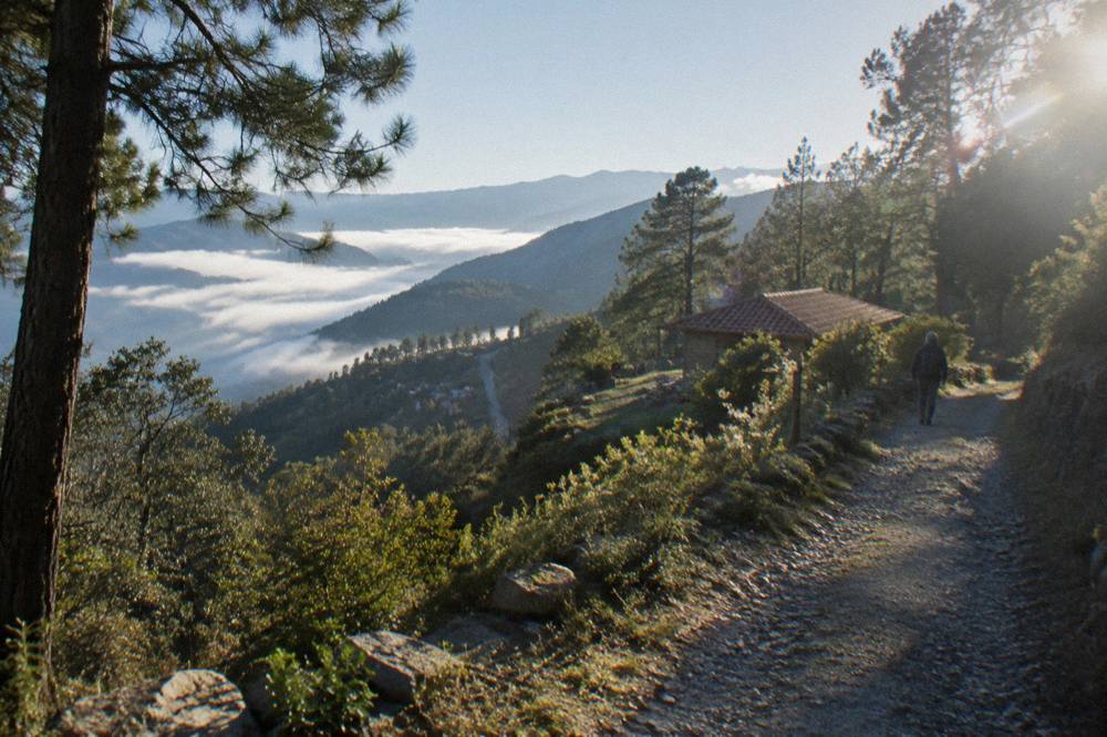 Mountain road winding through pine forest toward a high village