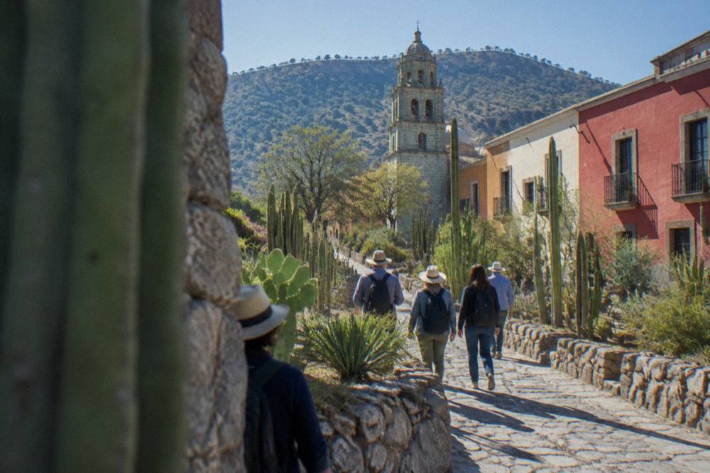 Guided group walking a garden path of cacti and stone walls in Oaxaca