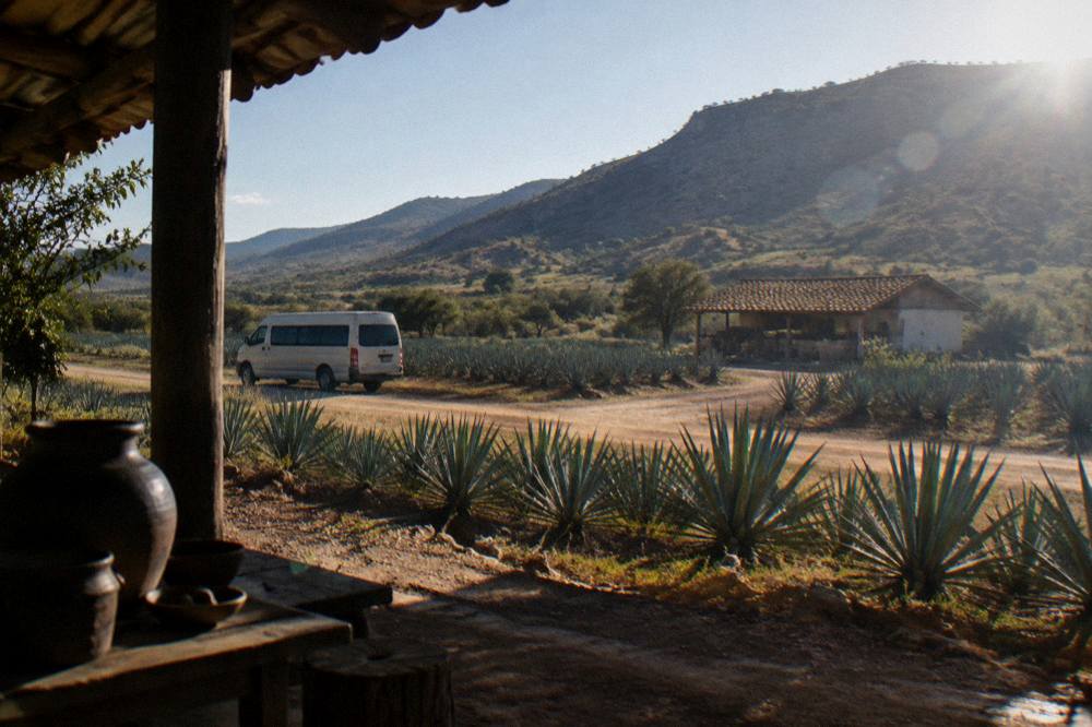 A small tour van parked on a dirt road beside an agave field in the valleys east of Oaxaca City