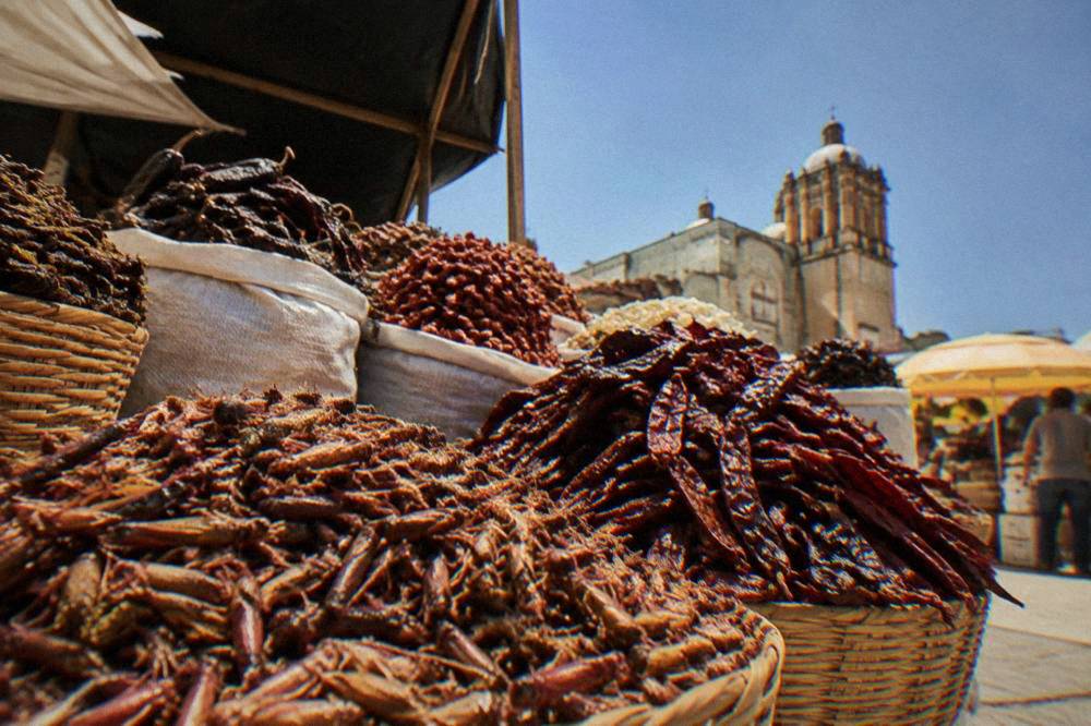 Stalls of fresh chapulines and dried chiles in a Oaxaca market