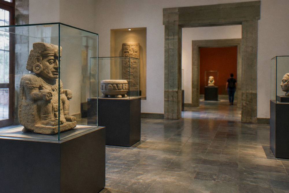A museum gallery with stone archaeological pieces displayed in glass cases
